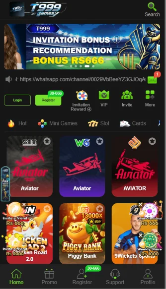 t999-interface