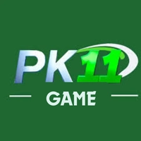 PK11 Game