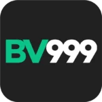 BV 999 Game icon