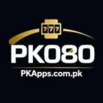 PK080 game icon