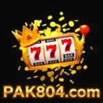 pak804-game