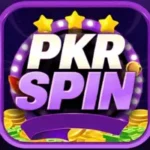 pkrspin-game Icon