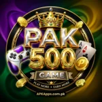 PAK500 game icon
