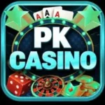 pk-casino-icon