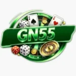 gn-55-game